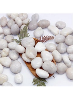 Generic 5lb (2.25 KG) White Pebbles Natural Decorative Stone Polished Gravel River Rocks for Plants Home DIY Décor Aquarium Gravel Vase Fillers Fairy Garden Landscaping Outdoor Stones  - Image 2