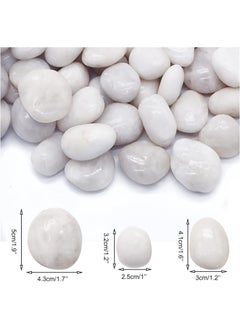 Generic 5lb (2.25 KG) White Pebbles Natural Decorative Stone Polished Gravel River Rocks for Plants Home DIY Décor Aquarium Gravel Vase Fillers Fairy Garden Landscaping Outdoor Stones  - Image 3