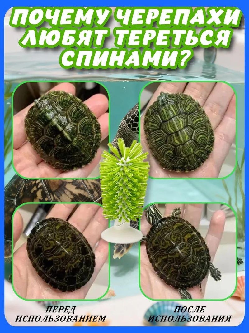 أكسسوارات الأكواريوم/التيراريوم - Image 4