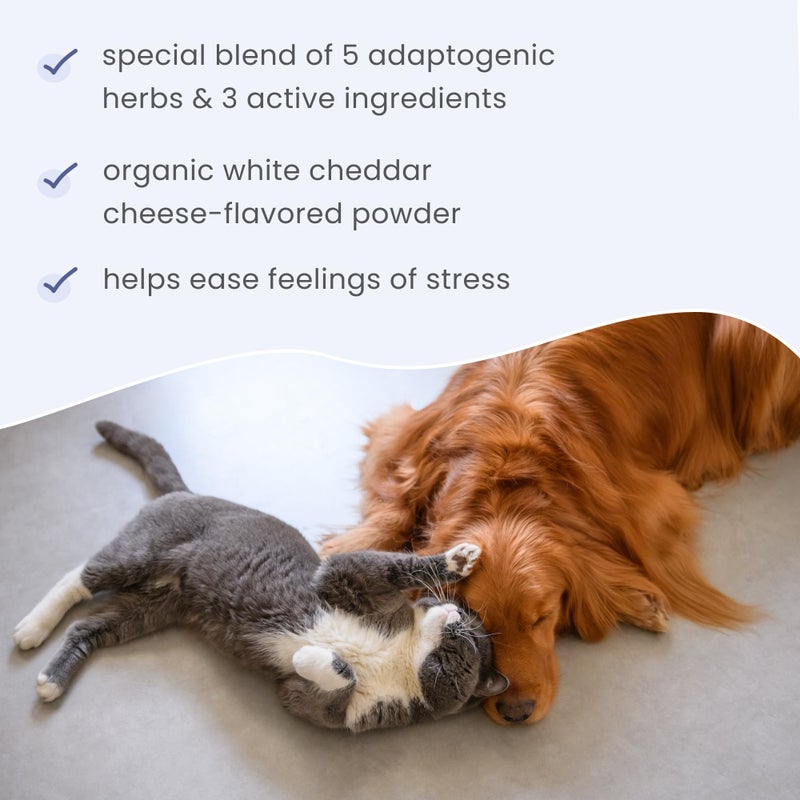 Dr. Mercola Bark & Whiskers Stress Support for Dogs & Cats, 1.29 Oz. (36.8 g), 5 Adaptogenic Herbs, Promotes Calmness, Veterinarian Formulated, Non-GMO, Dr. Mercola - Image 5