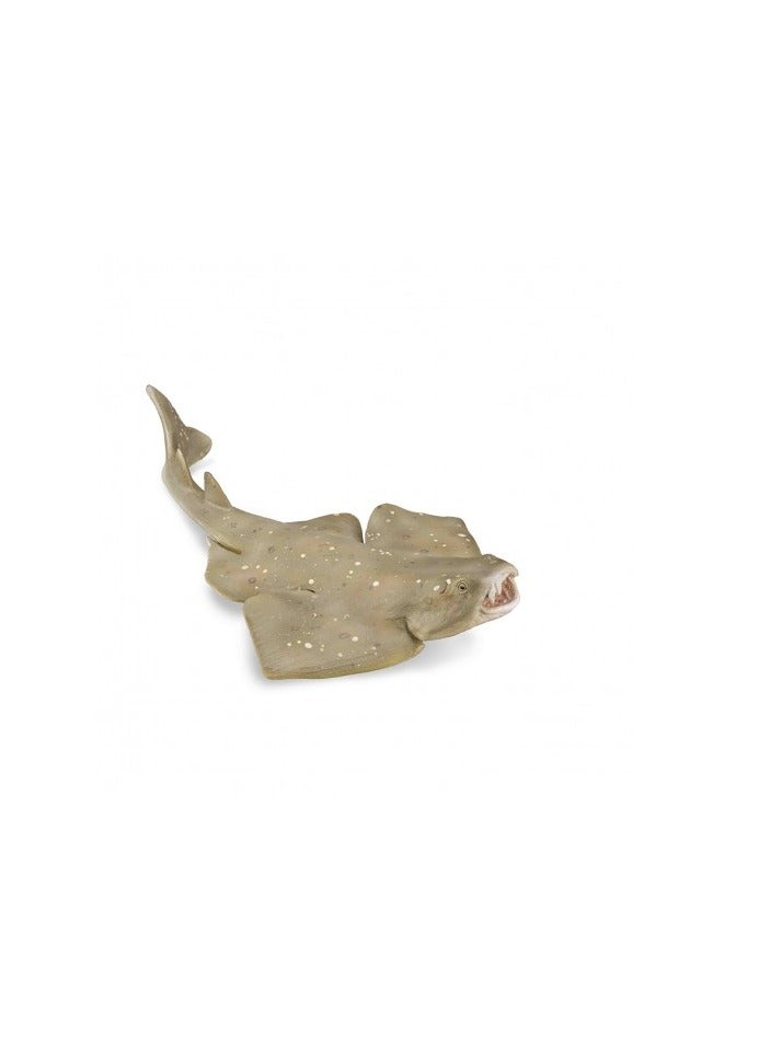 COLLECTA ANGEL SHARK
