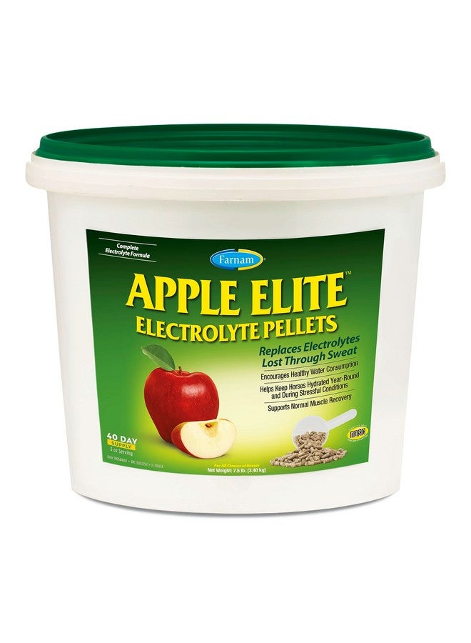 Farnam Apple Elite Electrolyte Pellets 7.5 Pounds, 40 Day Supply - Image 1
