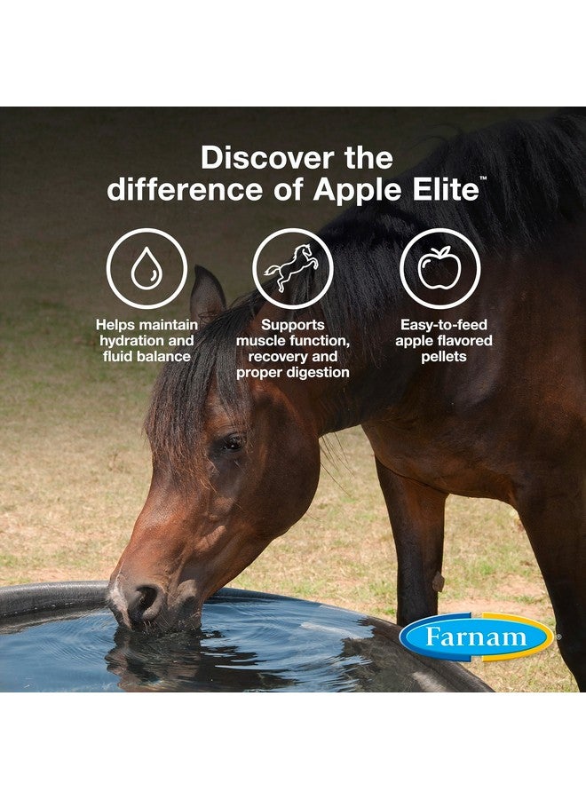 Farnam Apple Elite Electrolyte Pellets 7.5 Pounds, 40 Day Supply - Image 3