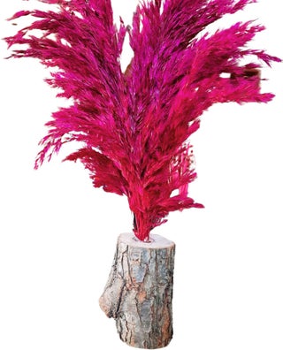 Fuchsia Decorative Natural Pampas Log Flower Pot, Event, Wedding & Entertainment Table Ornament & Decor - pzsku/ZB2E9FEA41AD2D1B4A7DDZ/45/_/1731226708/9ba30bde-0766-4616-86fa-62cfa9cc5bcd