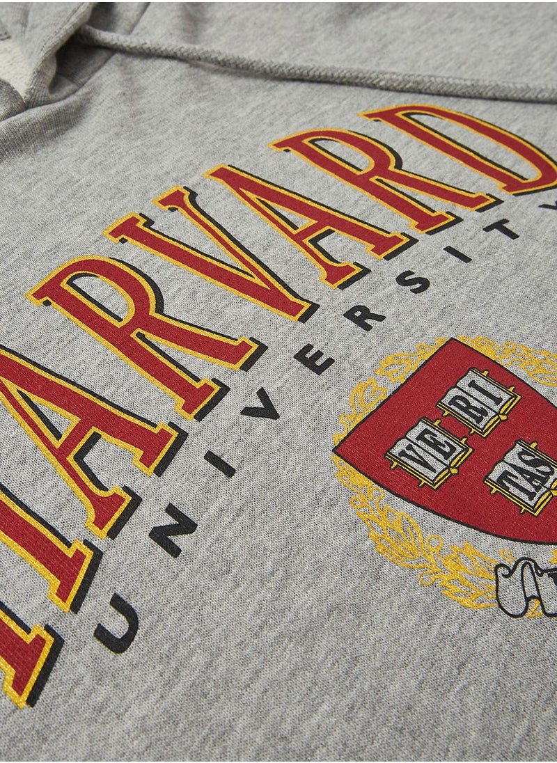 MANGO Youth Teen Harvard University Hoodie  - Image 3