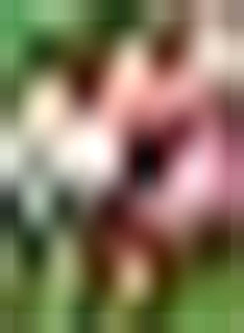 GGOOT seeds Fresh 50 pcs Evening Scented Home Garden Flower Seeds for Planting Mixed 1