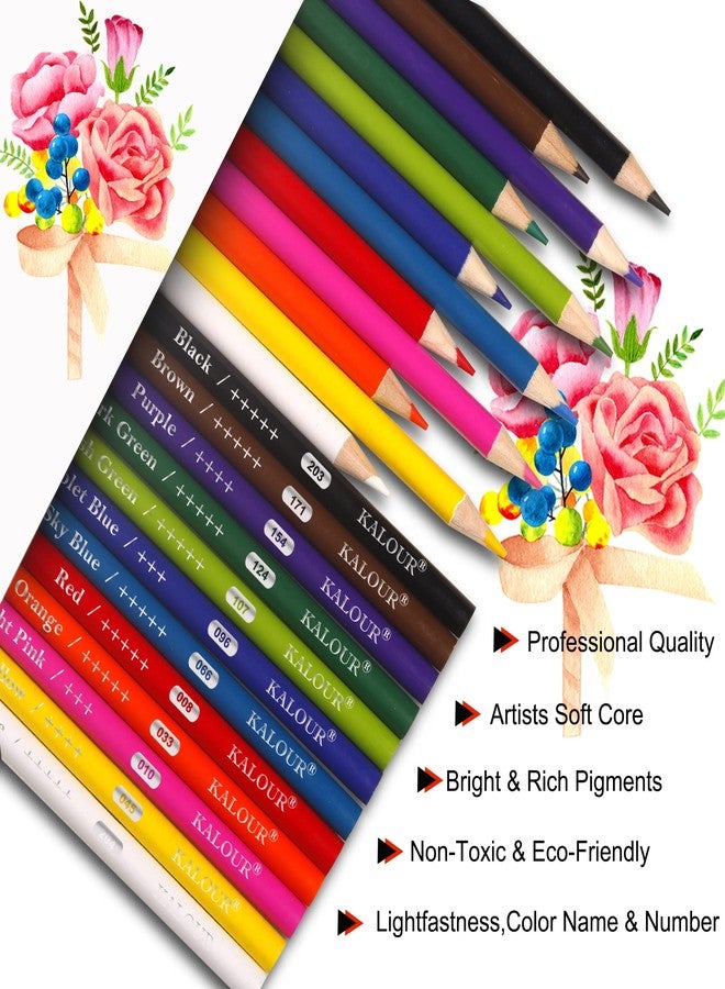 KALOUR أقلام تلوين كالوور المميزة، 12 لون متنوع زاهي، 240 قلم إجمالي، مستلزمات مدرسية للفصول الدراسية للأطفال والمعلمين، أقلام تلوين فنية مسبقة الشحذ لكتب تلوين البالغين - Image 2