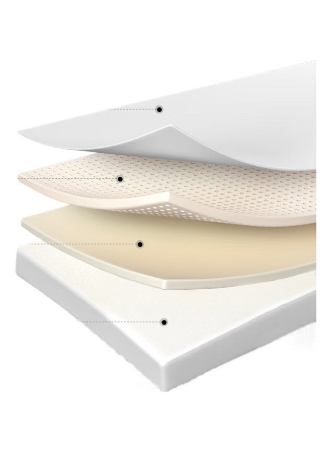 Black Dog Outdoor Cooler Box For Camping, Picnic, Cold Storage, Food Preservation, Takeout, And Fishing, 25L, Night Black - Image 2