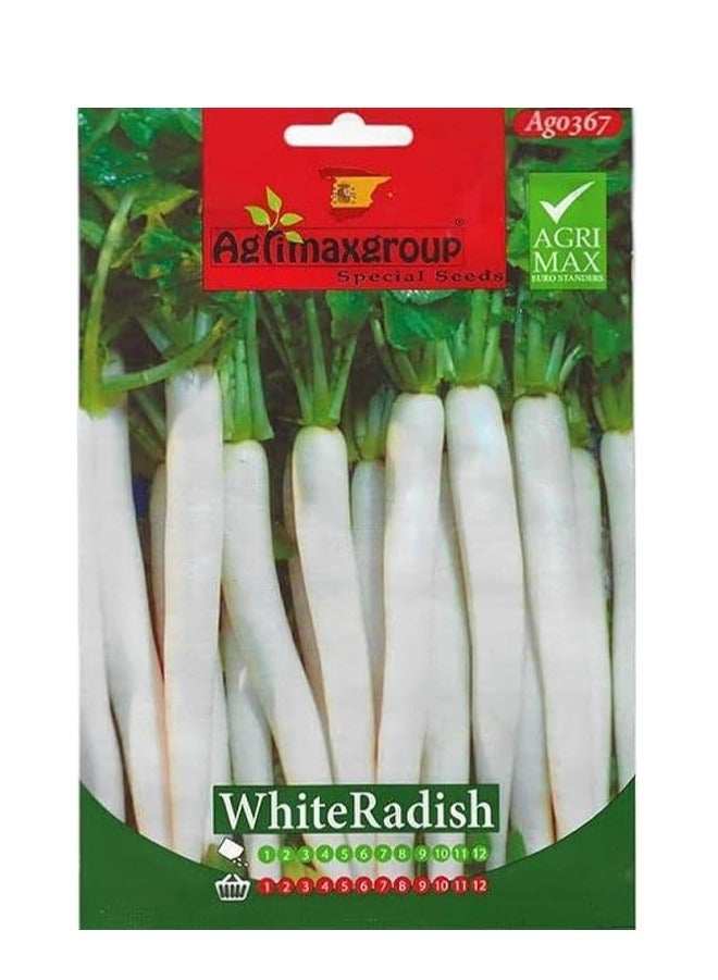 أجريماكس بذور الفجل الأبيض عالية الجودة من Agrimaxgroup® - Image 1