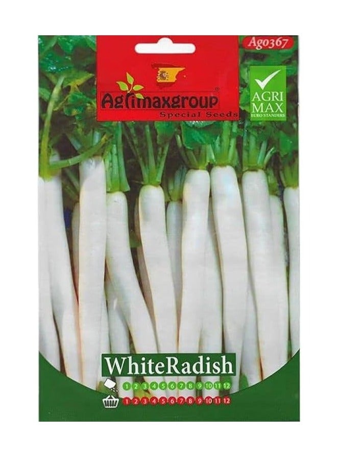 أجريماكس بذور الفجل الأبيض عالية الجودة من Agrimaxgroup® - Image 2