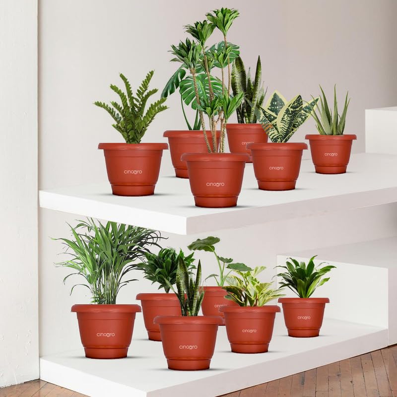 CINAGRO Plastic Round Pot, 6 inch - Pack of 12, Fits 5.5 inch Bottom Tray, Gamla Pot, UV Protected Planter, Heavy-Duty, Durable Plant Container, Gamla for Indoor Home Decor & Outdoor Garden - Image 1
