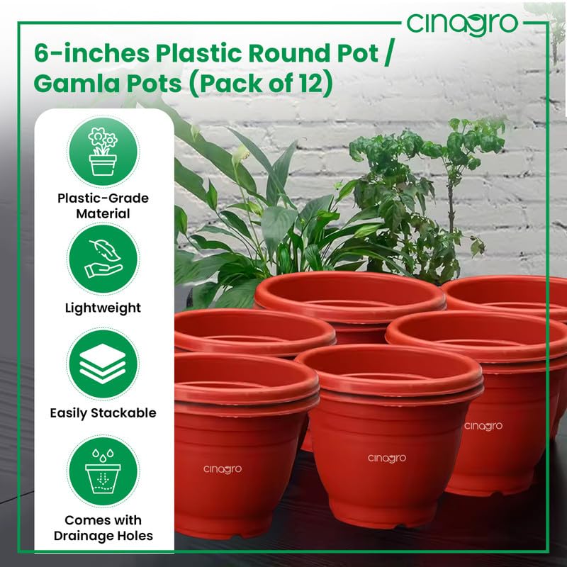 CINAGRO Plastic Round Pot, 6 inch - Pack of 12, Fits 5.5 inch Bottom Tray, Gamla Pot, UV Protected Planter, Heavy-Duty, Durable Plant Container, Gamla for Indoor Home Decor & Outdoor Garden - Image 2