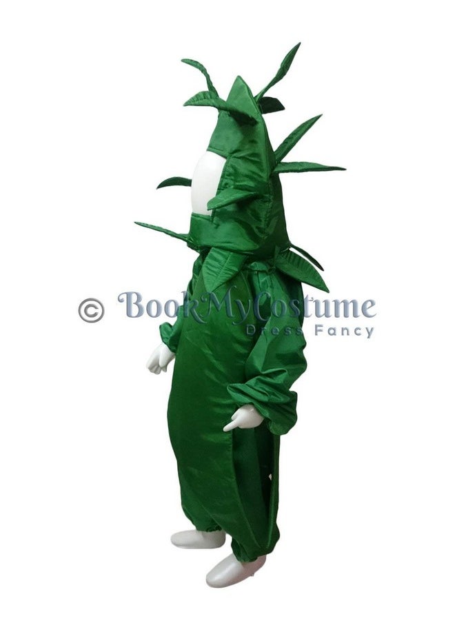بوك ماي كوستيوم - زي تنكري للأطفال من BookMyCostume بنكهة الخضار والفلفل الحار الأخضر من عمر 3 إلى 4 سنوات - Image 1