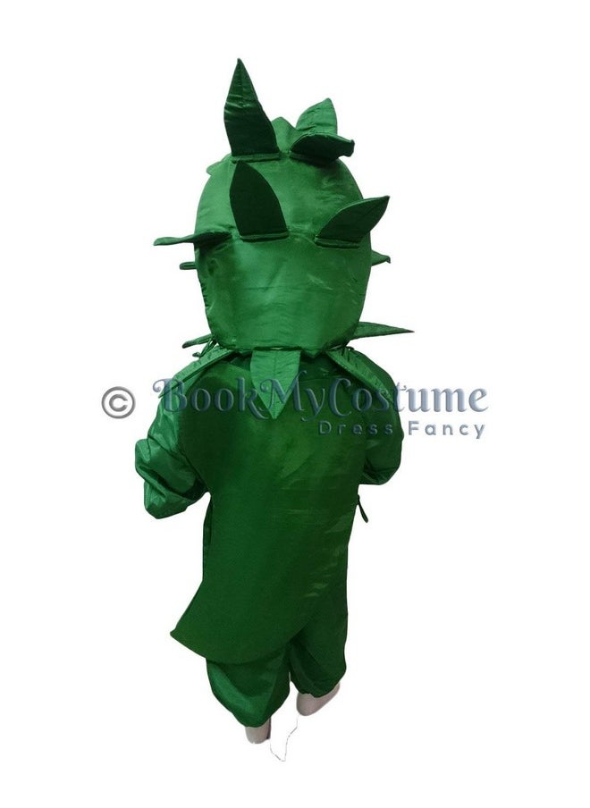 بوك ماي كوستيوم - زي تنكري للأطفال من BookMyCostume بنكهة الخضار والفلفل الحار الأخضر من عمر 3 إلى 4 سنوات - Image 1