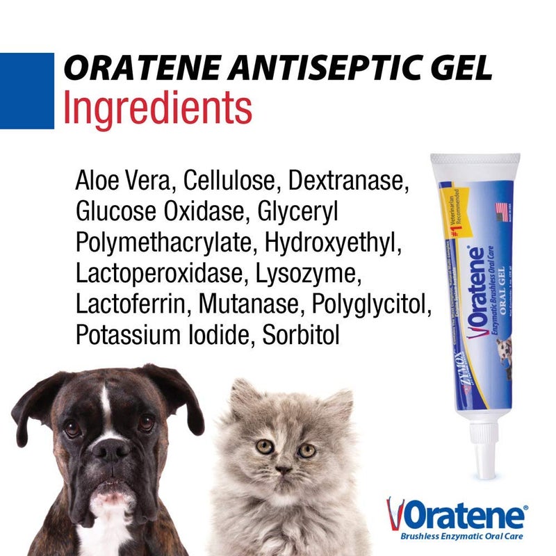 ZYMOX Oratene Brushless Oral Gel for Dogs and Cats, 1oz - Image 4