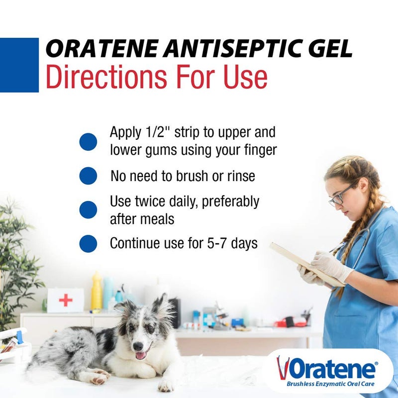 ZYMOX Oratene Brushless Oral Gel for Dogs and Cats, 1oz - Image 5
