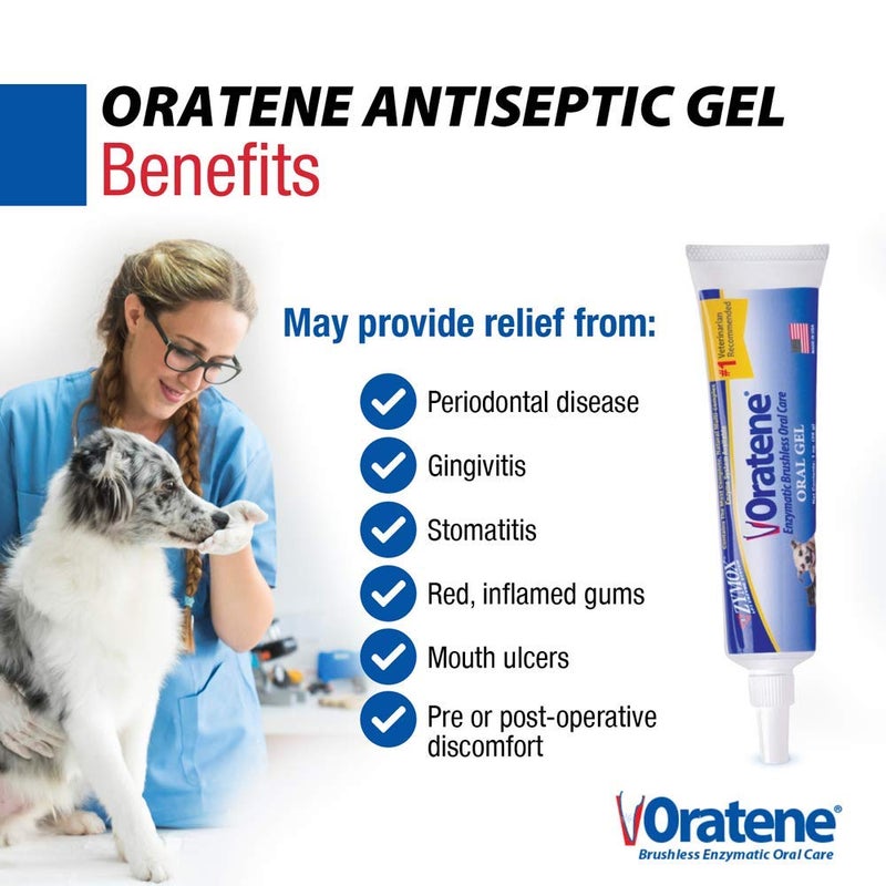 ZYMOX Oratene Brushless Oral Gel for Dogs and Cats, 1oz - Image 2
