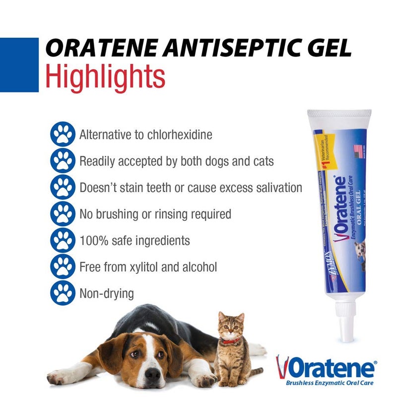 ZYMOX Oratene Brushless Oral Gel for Dogs and Cats, 1oz - Image 3
