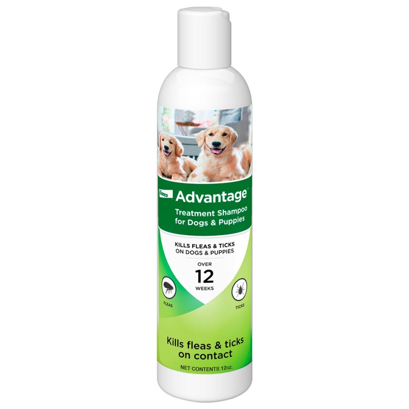Advantage Dog Flea & Tick Shampoo for Puppies & Adult Dogs | Kills Fleas & Ticks | 12 oz. - Image 1