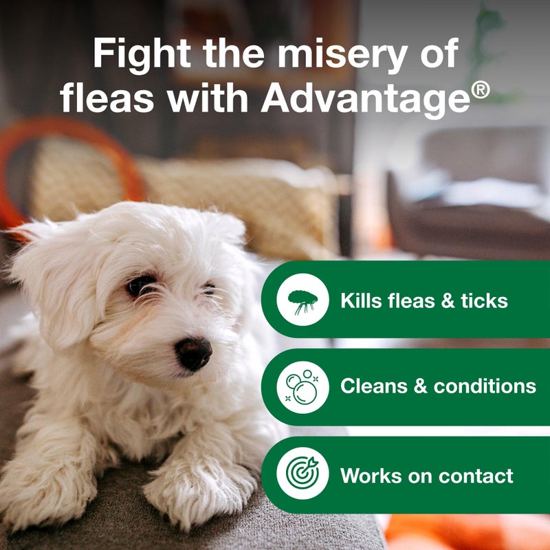 Advantage Dog Flea & Tick Shampoo for Puppies & Adult Dogs | Kills Fleas & Ticks | 12 oz. - Image 5