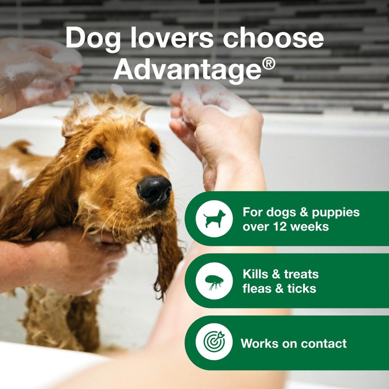 Advantage Dog Flea & Tick Shampoo for Puppies & Adult Dogs | Kills Fleas & Ticks | 12 oz. - Image 3