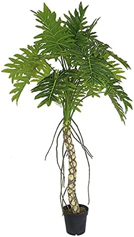 AMERIQUE Exotic and Rare 7 Tropical Philodendron Schott Arecaceae Tree Artificial Silk Plant with UV Protection with Nursery Plastic Pot Feel Real Technology Super Quality 7 Feet Green - Image 1