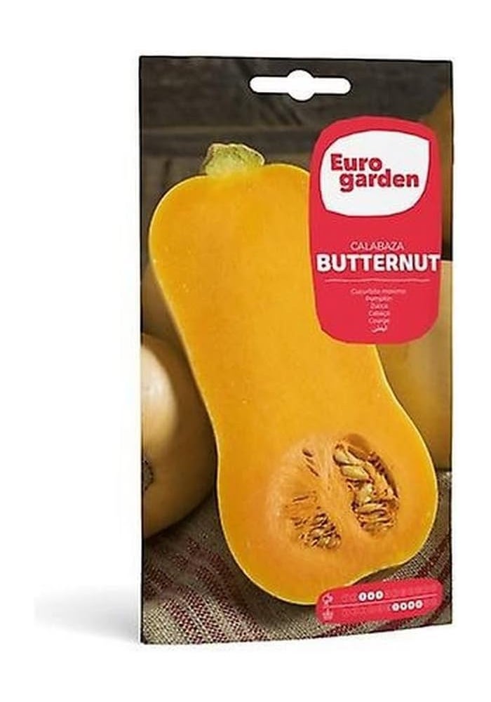 Euro Garden Butternut Pumpkin Seeds 10g