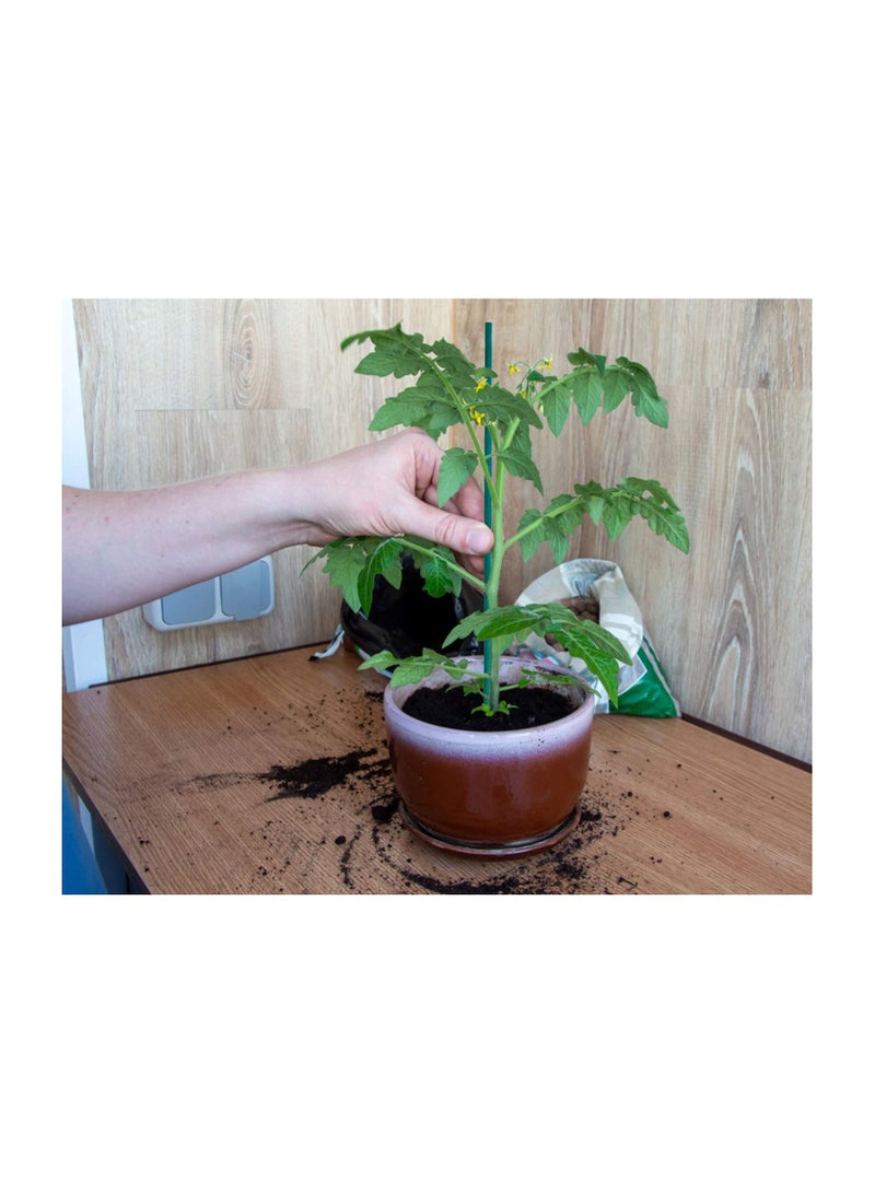 KASTWAVE Garden Stakes Green Bamboo Sticks Decorative, Wooden Plant Support Sticks, Green Wood Plant Stakes, Floral Plant Support Stakes, Wooden Sign Posting Garden Sticks and DIY Activities - Image 4