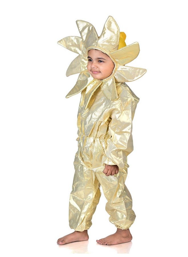 بوك ماي كوستيوم - BookMyCostume Sun Nature Kids Fancy Dress زي الطبيعة للأطفال من عمر 5 إلى 6 سنوات - Image 1