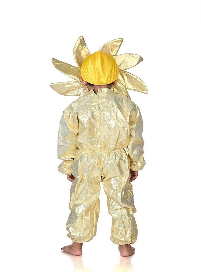 بوك ماي كوستيوم - BookMyCostume Sun Nature Kids Fancy Dress زي الطبيعة للأطفال من عمر 5 إلى 6 سنوات - Image 1