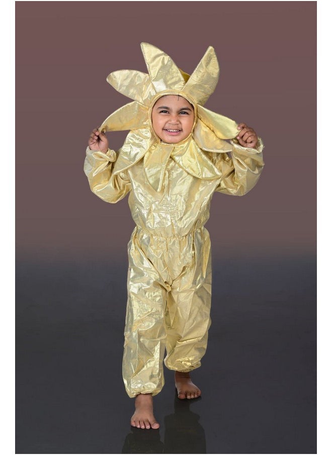 بوك ماي كوستيوم - BookMyCostume Sun Nature Kids Fancy Dress زي الطبيعة للأطفال من عمر 5 إلى 6 سنوات - Image 1