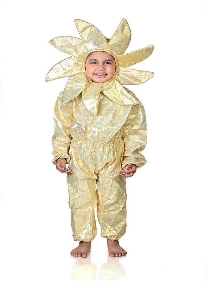 بوك ماي كوستيوم - BookMyCostume Sun Nature Kids Fancy Dress زي الطبيعة للأطفال من عمر 5 إلى 6 سنوات - Image 1