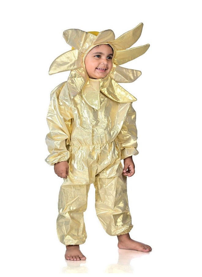 بوك ماي كوستيوم - BookMyCostume Sun Nature Kids Fancy Dress زي الطبيعة للأطفال من عمر 5 إلى 6 سنوات - Image 1