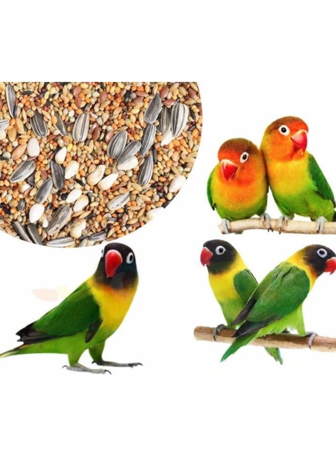 طعام الطيور للكوكاتيل وطيور الحب. الببغاوات. 2 كجم - Image 4