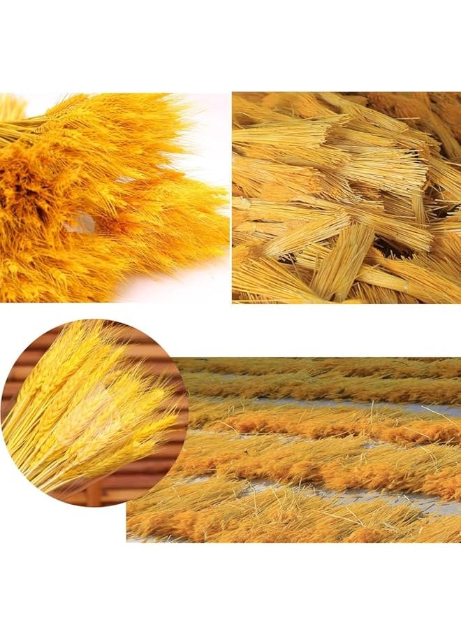 erorex Dried Wheat Sheaves Stalks Bouquet Bundles 100 Stems Natural Ear Of Wheat Grain Flowers Dry Grass Bunch Diy Arrangements For Home Wedding Store Decorative  - Image 5