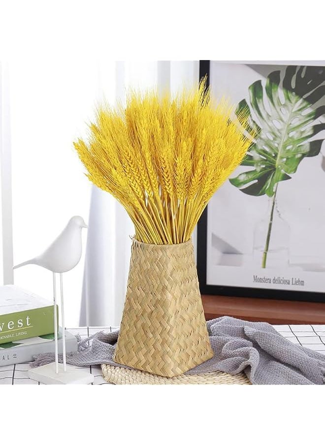 erorex Dried Wheat Sheaves Stalks Bouquet Bundles 100 Stems Natural Ear Of Wheat Grain Flowers Dry Grass Bunch Diy Arrangements For Home Wedding Store Decorative  - Image 2