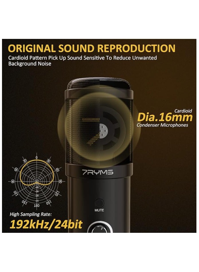 7RYMS 7Ryms AU01-K1 USB Mic Kit for PC/Phone Recording and Streaming Adjustable Boom Arm 2 Layer Mask Shield Filter Black (AU01-K1)  - Image 2