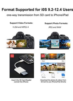 KASTWAVE For Apple Lightning to SD Card Camera Reader Adapter for iPhone iPad(USB 3.0/2.0) DSLR Camera Trail Game Camera Card Viewer Reader for iPhone 12 Mini, No APP Needed-Plug and Play  - Image 4
