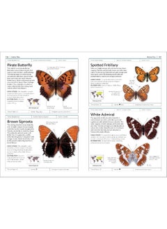 Butterflies and Moths  - Image 4