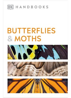 Butterflies and Moths  - Image 1