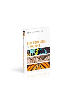 Butterflies and Moths  - Image 3