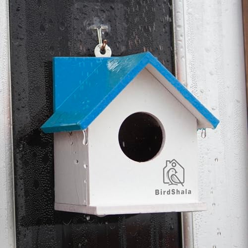 BIRDSHALA Bird House for Sparrow, Budgies & Finches with Air Ventilation and Mounting Hook (Blue, Medium) - Image 3