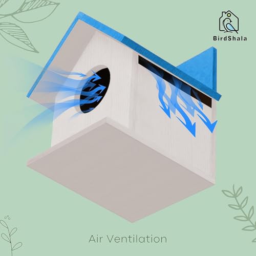 BIRDSHALA Bird House for Sparrow, Budgies & Finches with Air Ventilation and Mounting Hook (Blue, Medium) - Image 4
