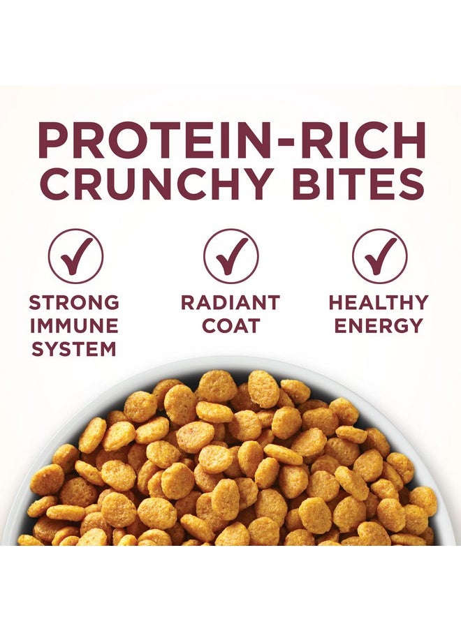 Purina ONE Purina ONE High Protein Dry Cat Food, +Plus Urinary Tract Health Formula - 3.5 lb. Bag  - Image 2