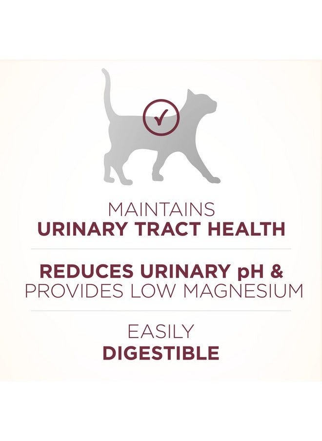 Purina ONE Purina ONE High Protein Dry Cat Food, +Plus Urinary Tract Health Formula - 3.5 lb. Bag  - Image 4