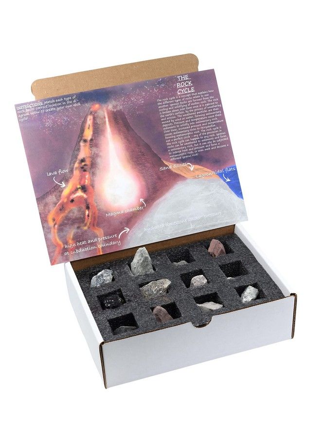 Rock Cycle Kit 12 Pieces Includes Metamorphic Igneous & Sedimentary Rocks 1" Specimens Fun Geology Activity For Exploring The Rock Cycle & Rock Types Tech Cut Rocks