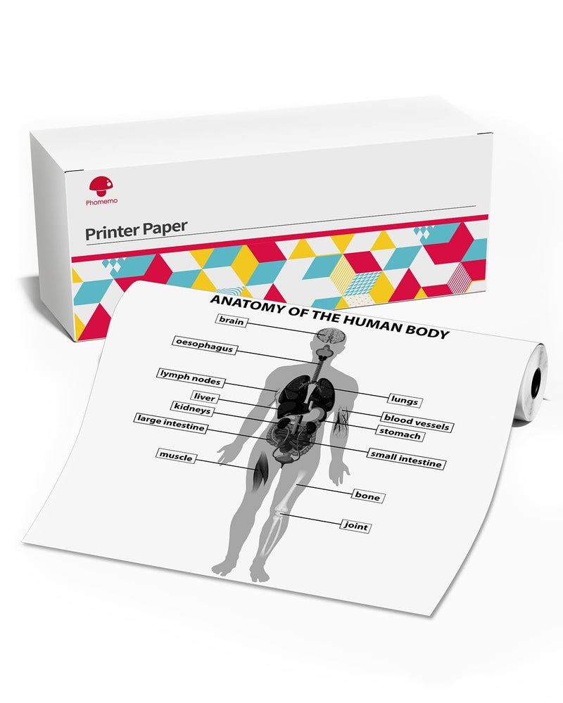 Phomemo A4 Size 8.27"x11.69" Thermal Paper for M08F Portable Printer, Quick-Dry Thermal Printer Paper Rolls, 50sheets/Roll - Image 1