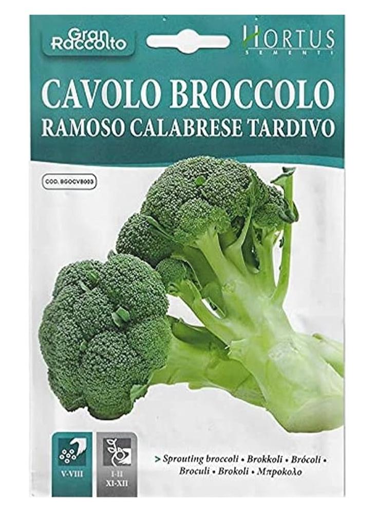Hortus Sprouting Broccoli Premium Quality Seeds (Cavolo Broccolo Ramoso Calabrese Tardivo) (Made in Italy) by Hortus Sementi