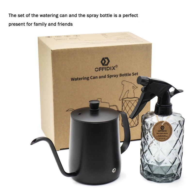 OFFIDIX Watering Can for Indoor Plants,Long Spout Metal Stainless Steel 21 oz Watering Can with 14 oz Glass Plant Mister Spray Bottle for Plant Bonsai - Image 5
