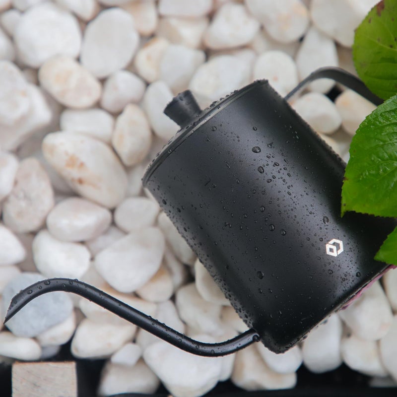 OFFIDIX Watering Can for Indoor Plants,Long Spout Metal Stainless Steel 21 oz Watering Can with 14 oz Glass Plant Mister Spray Bottle for Plant Bonsai - Image 4